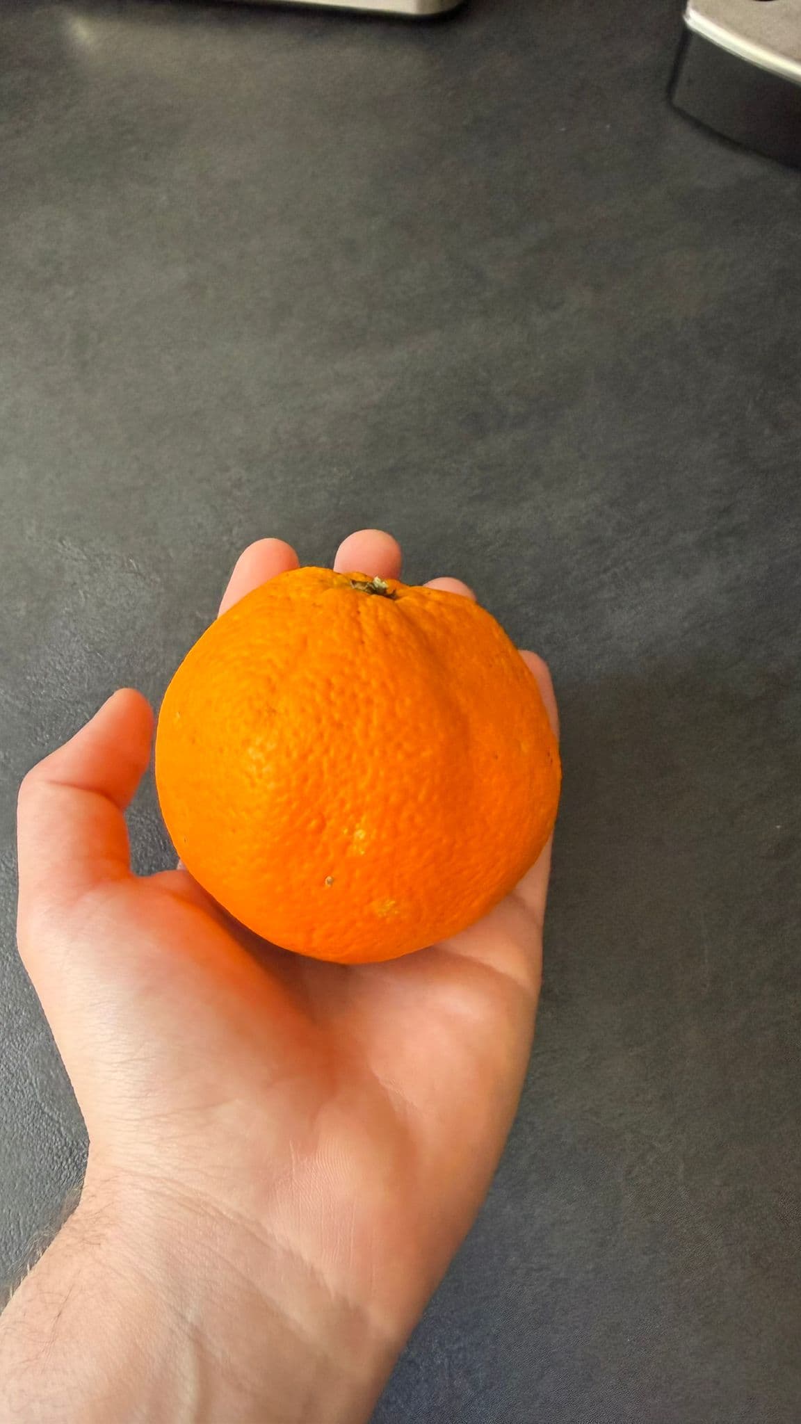 4 Monate nach der Ernte – wie lange sizilianische Orangen wirklich halten – Bild 1