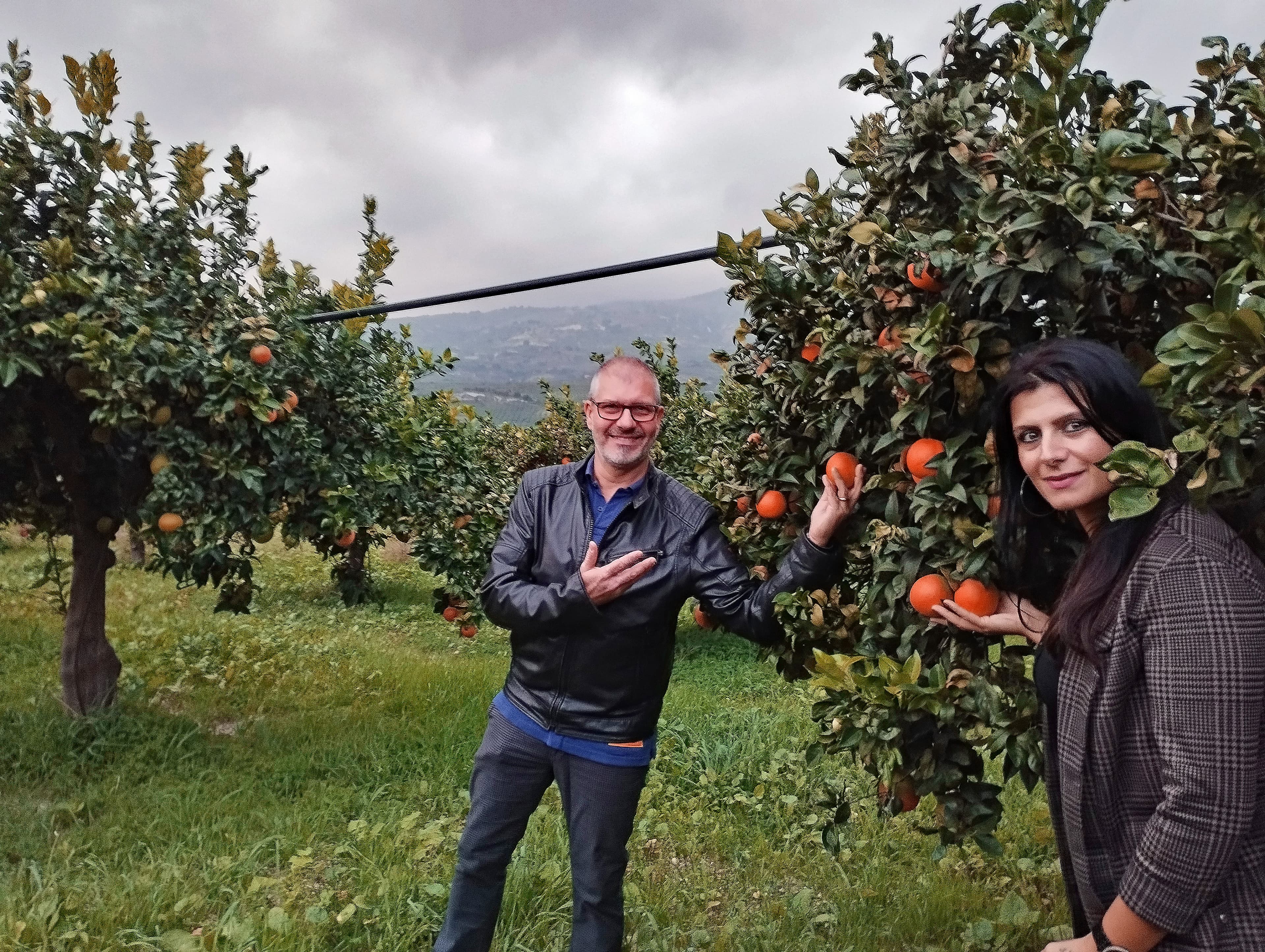 Calma's Südfrüchte – direkt aus Sizilien