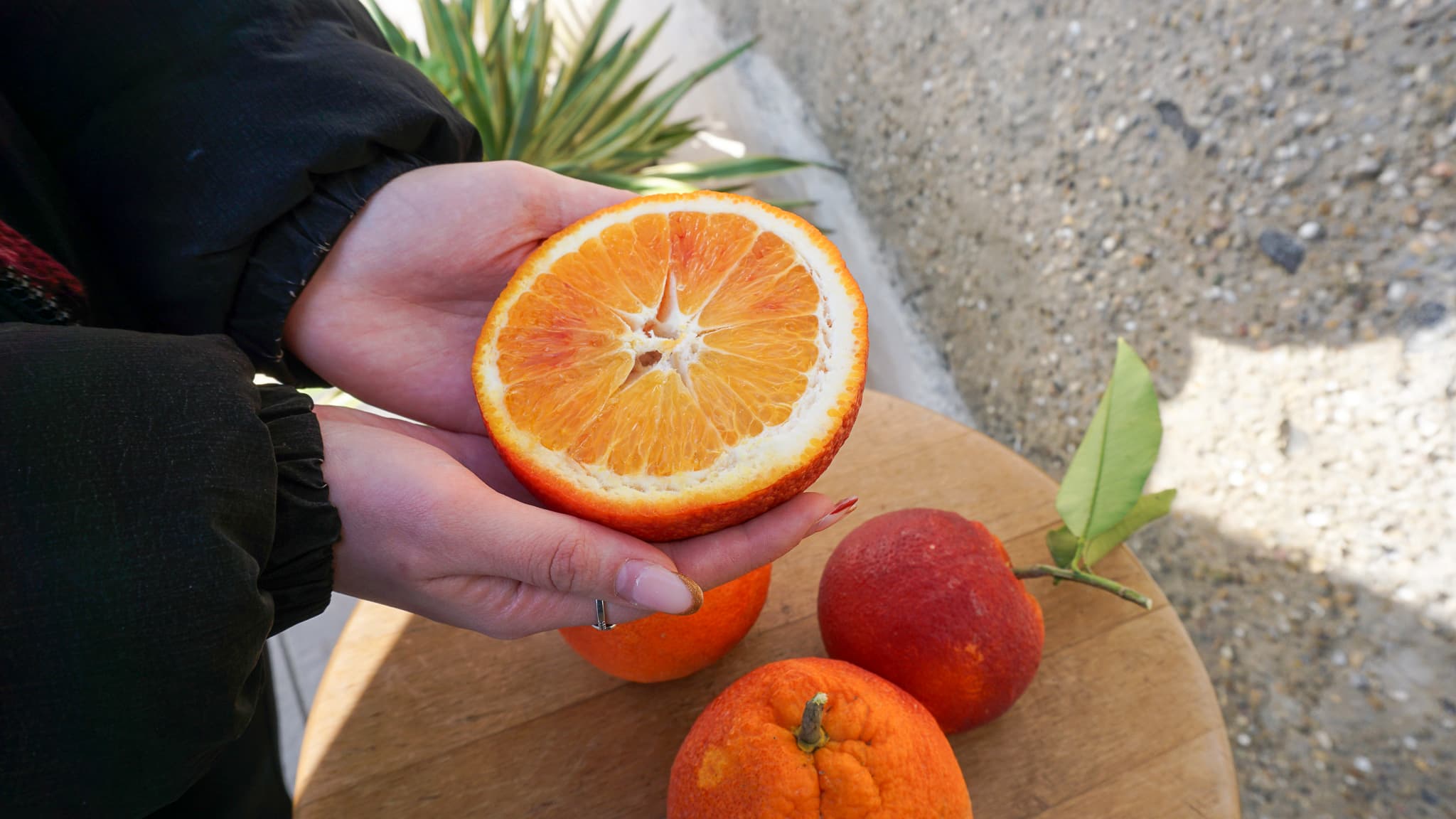 Sizilianische Blutorangen – Bild 1