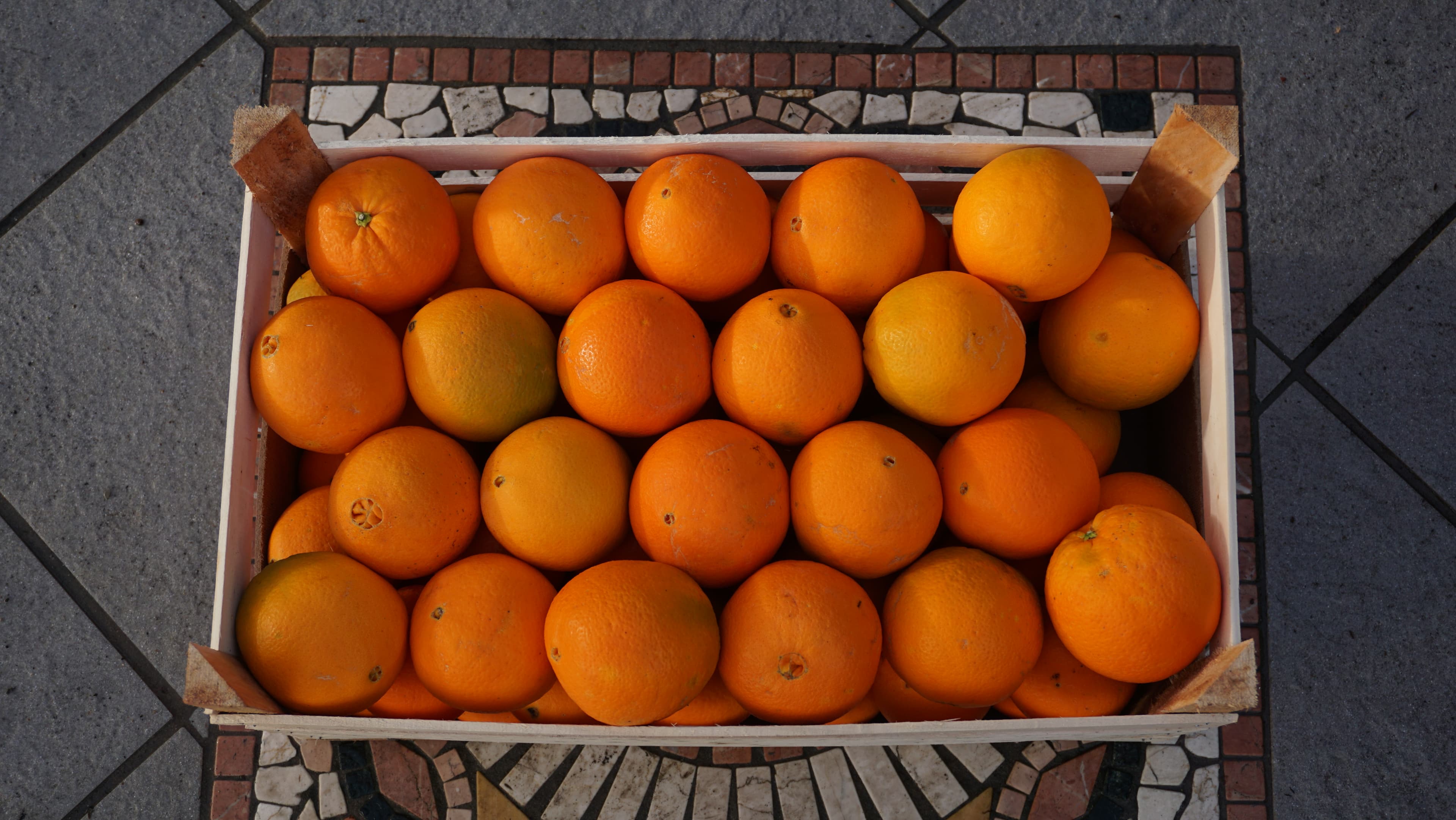 Sizilianische Orangen – Bild 4