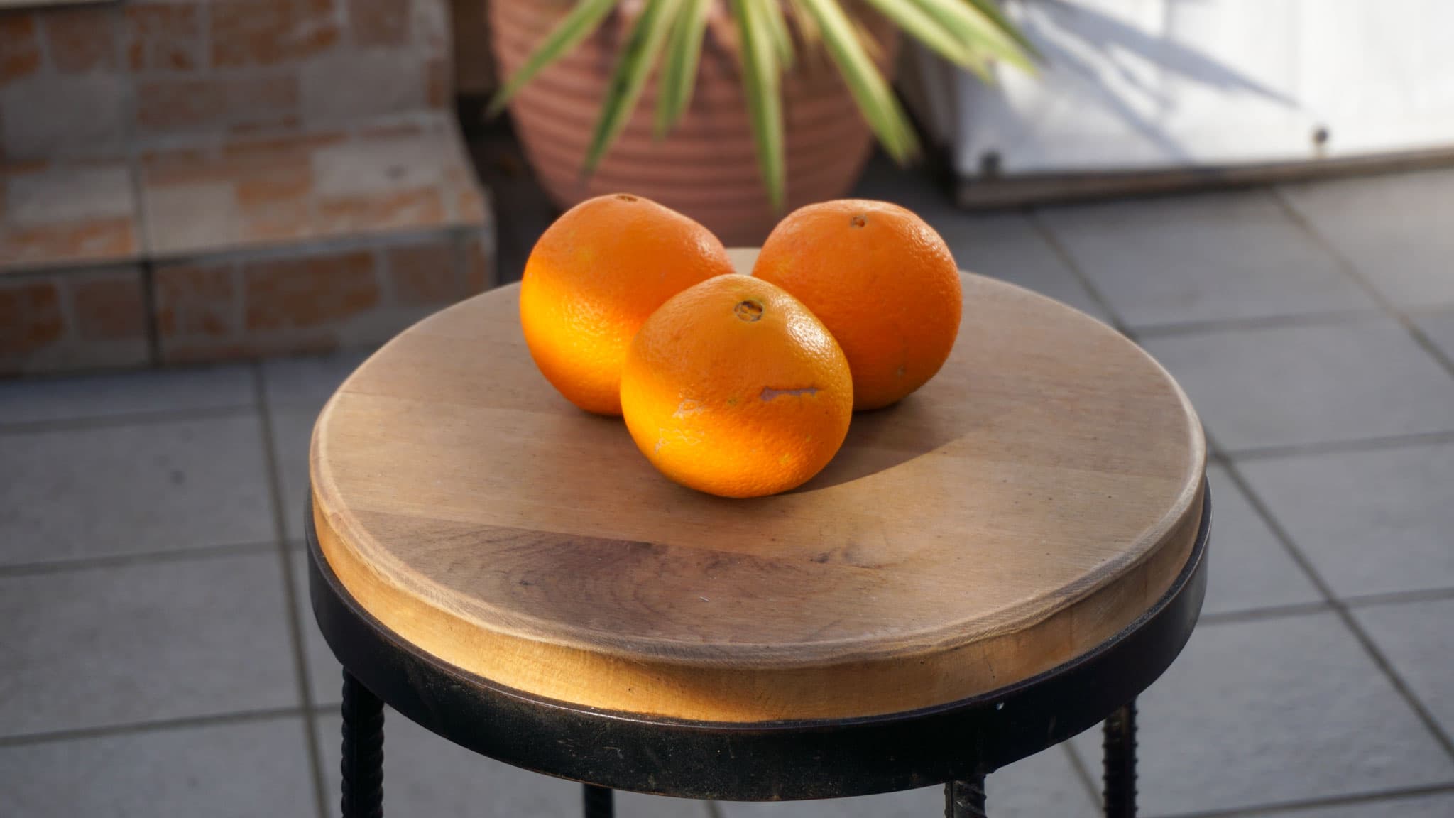 Calma's Südfrüchte – frische Orangen aus Sizilien